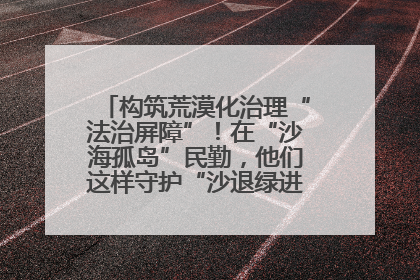 构筑荒漠化治理“法治屏障”！在“沙海孤岛”民勤，他们这样守护“沙退绿进”的生态奇迹